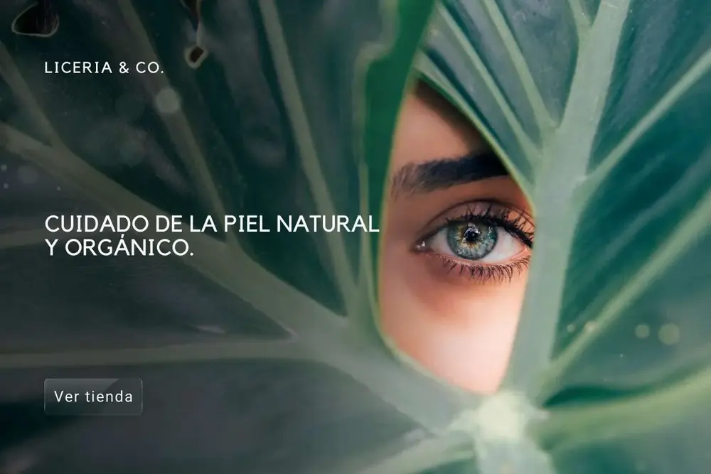 Diseño de portada web realizado por MiNegocioMex
