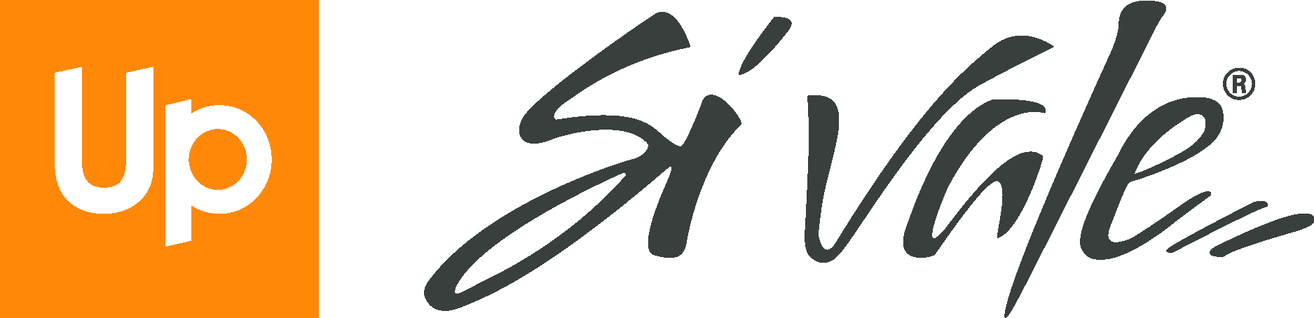 si-vale-Logo-Vector.svg-