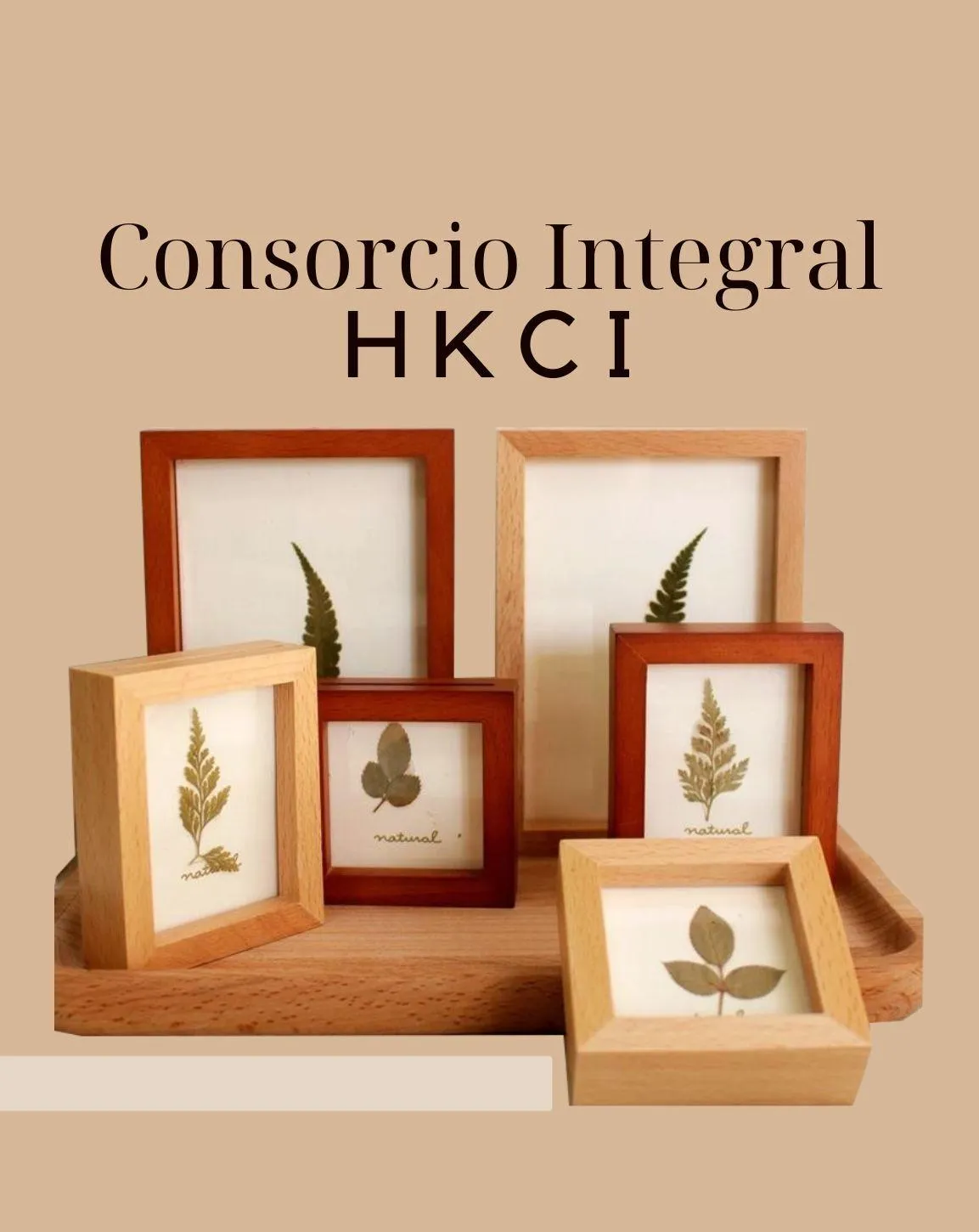 HKCI