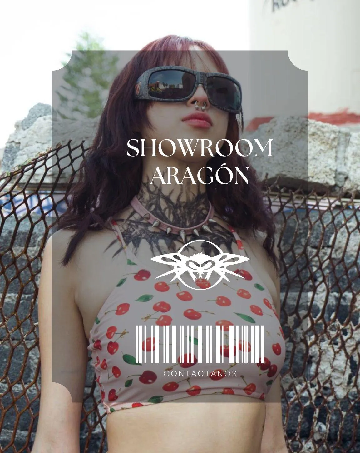 Showroom Aragón