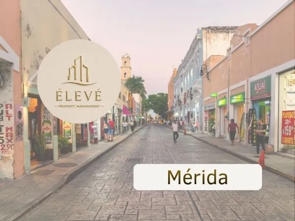 Cobertura de ÉLEVÉ