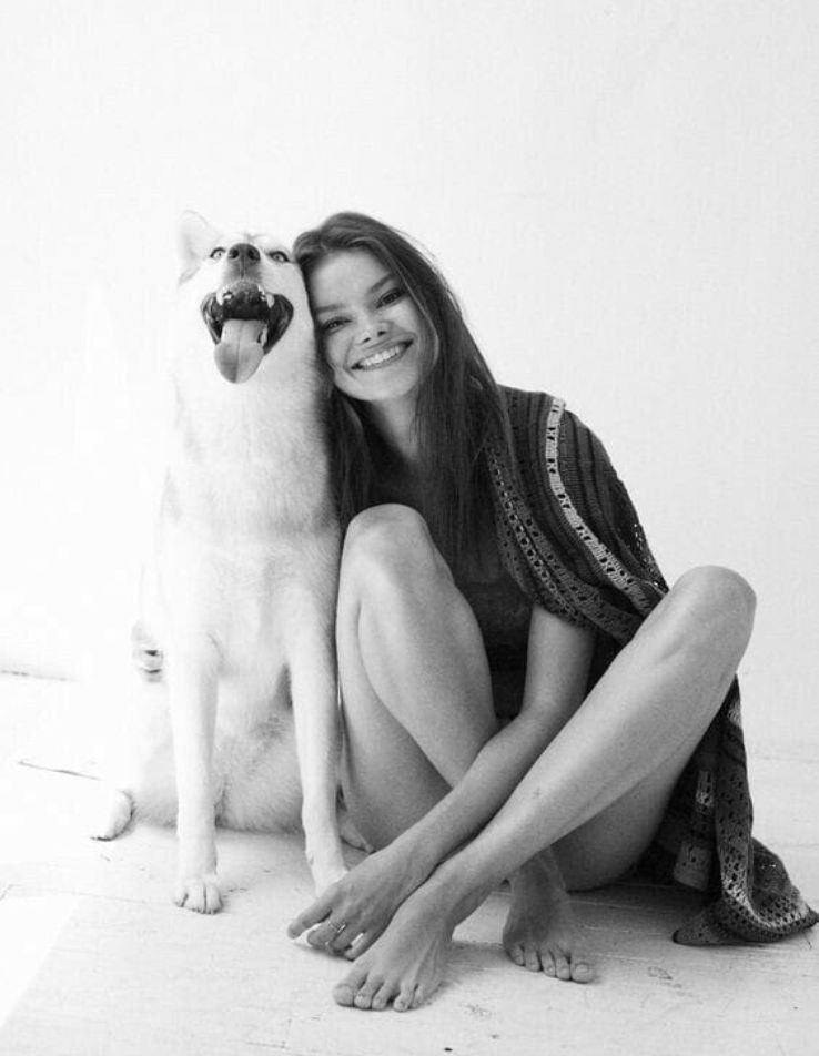 Retratos de mascotas