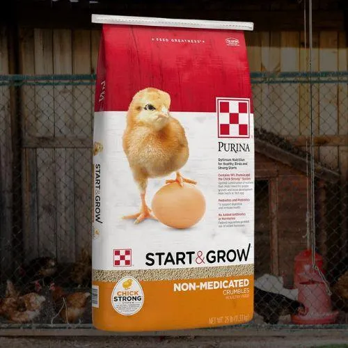 Alimentos para Animales