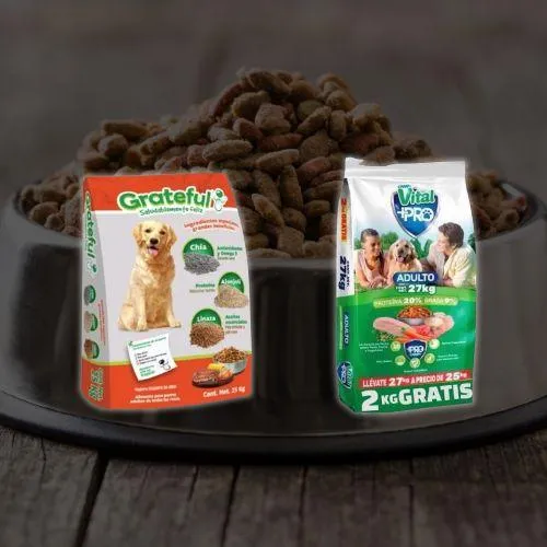 Alimento, Accesorios y medicamentos