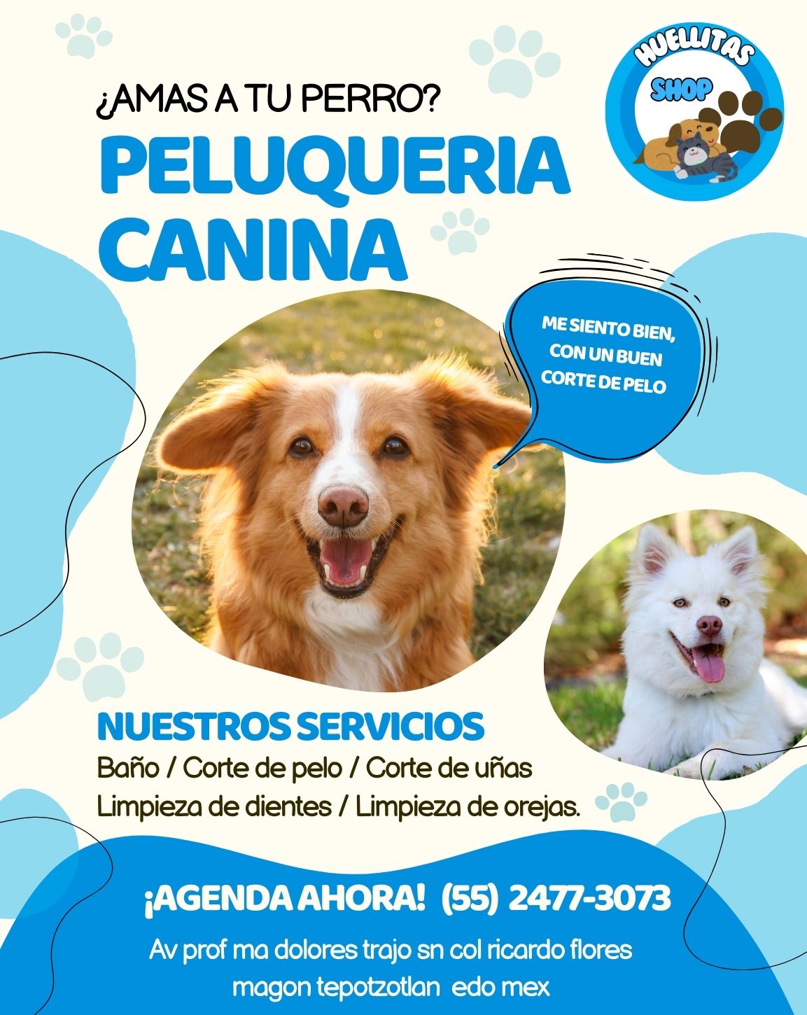 Huellitas Shop