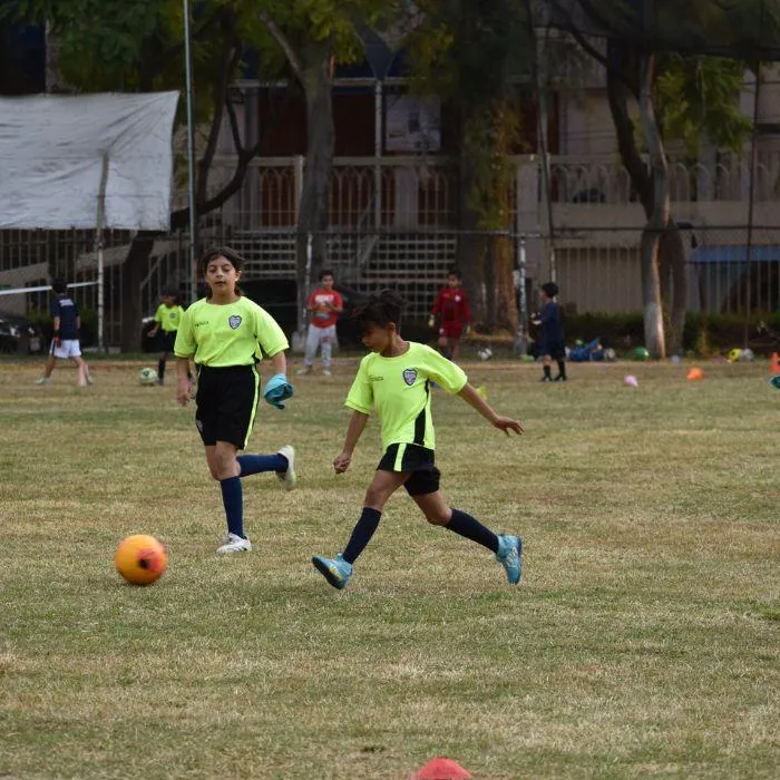Entrenamientos
