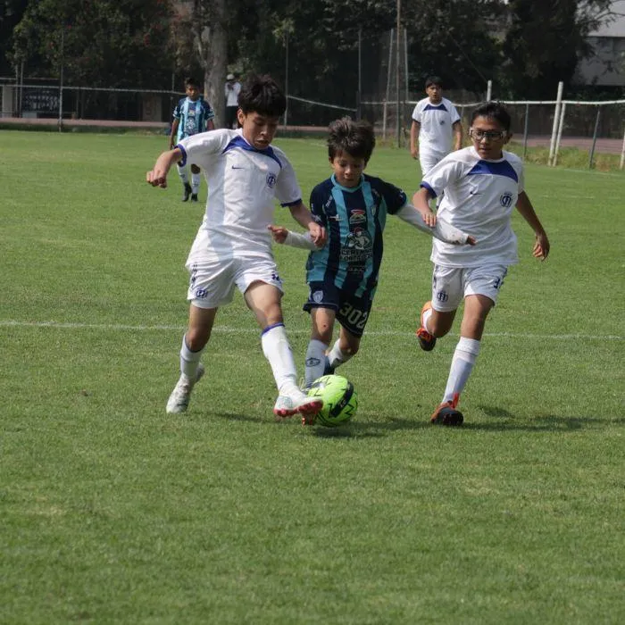 Torneos