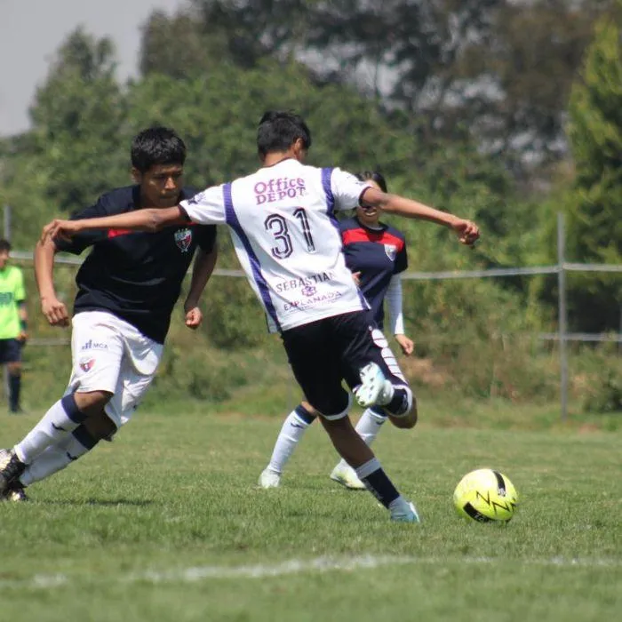 Torneos