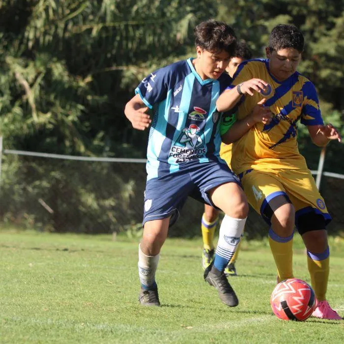 Torneos