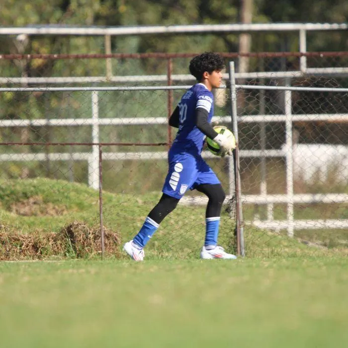 Torneos