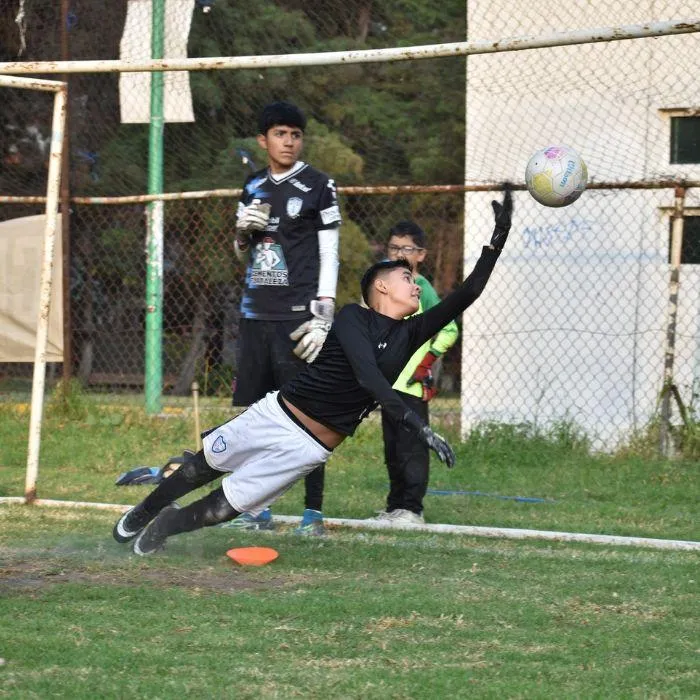 Entrenamientos