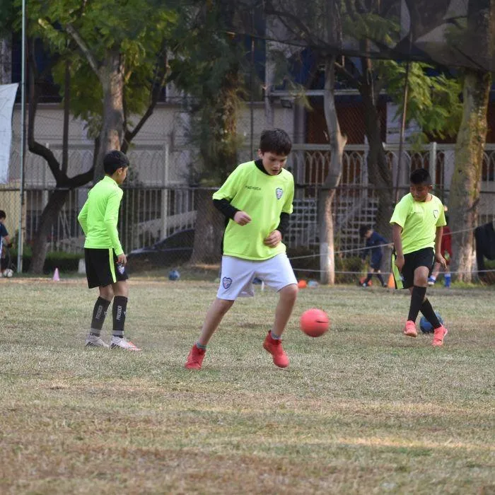 Entrenamientos