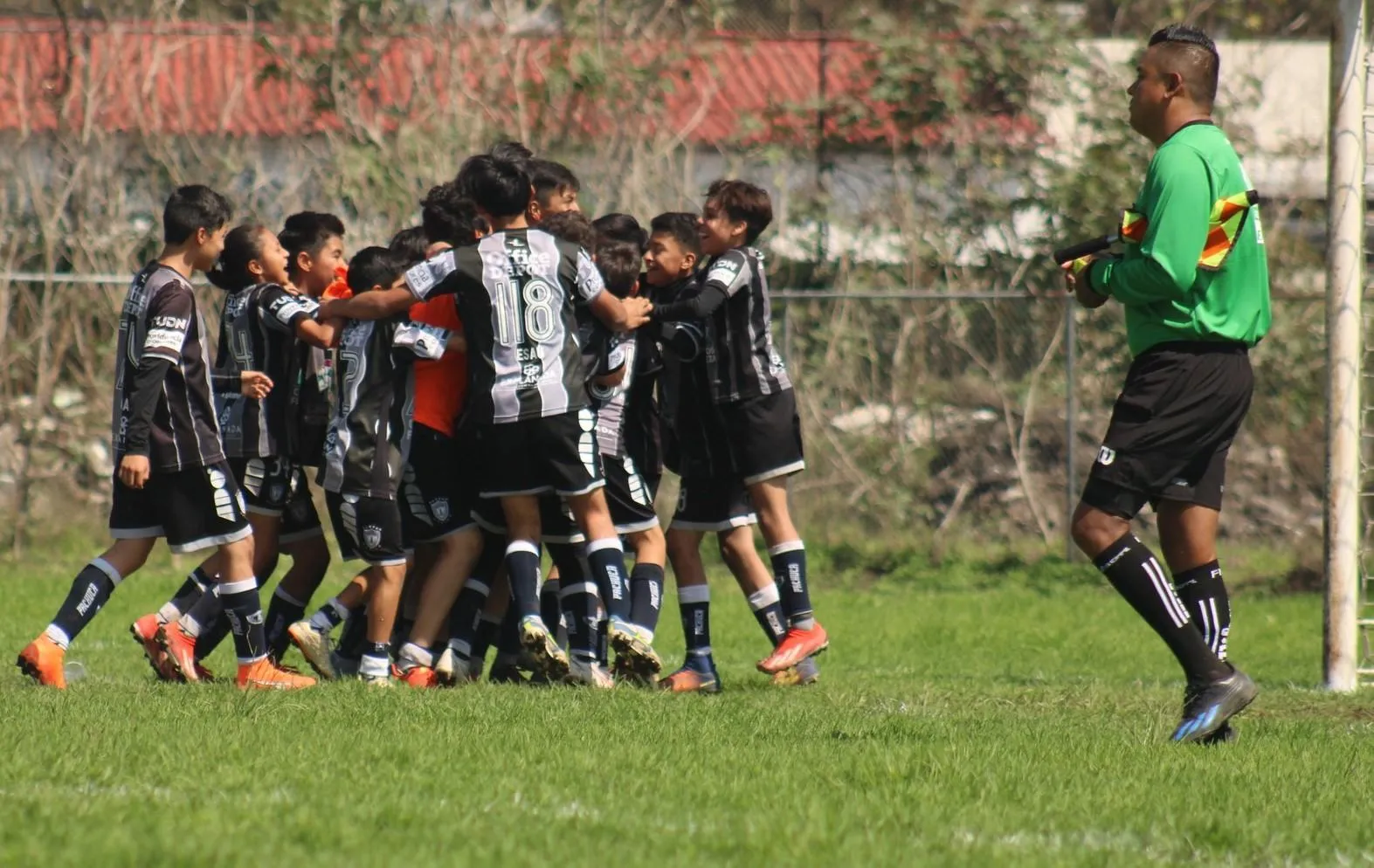 Torneos