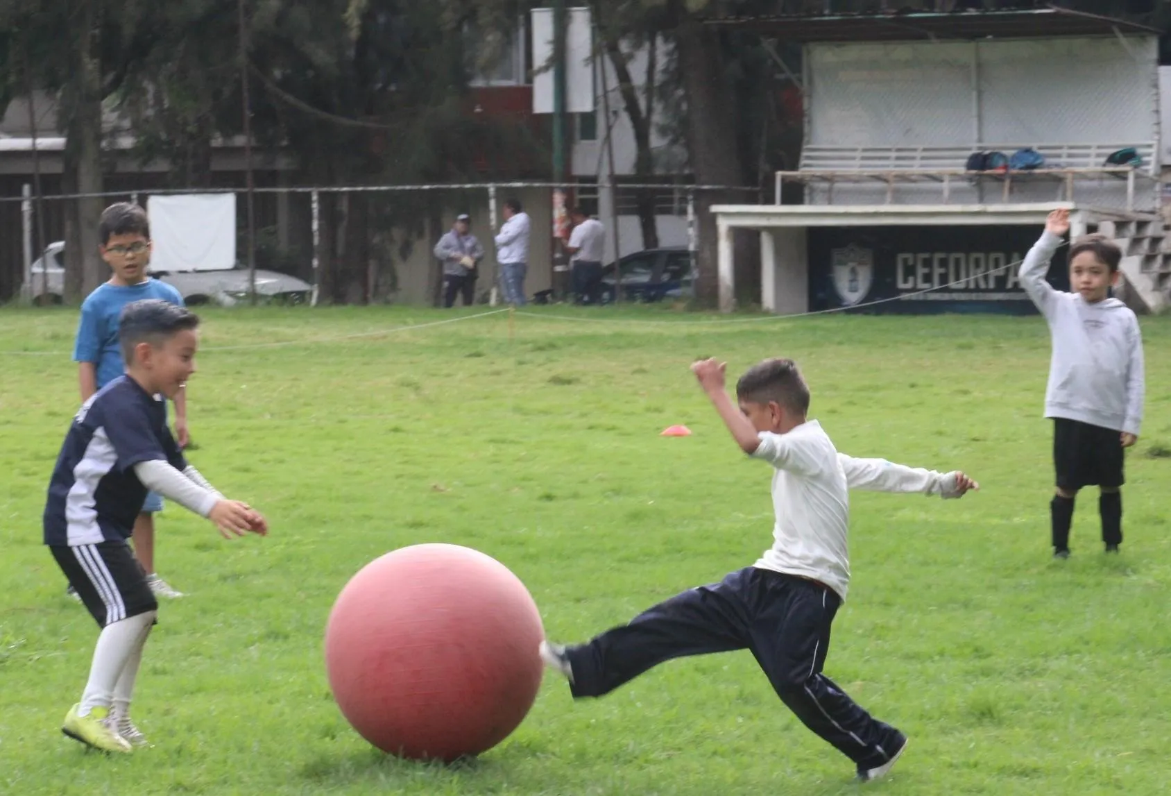 Entrenamientos