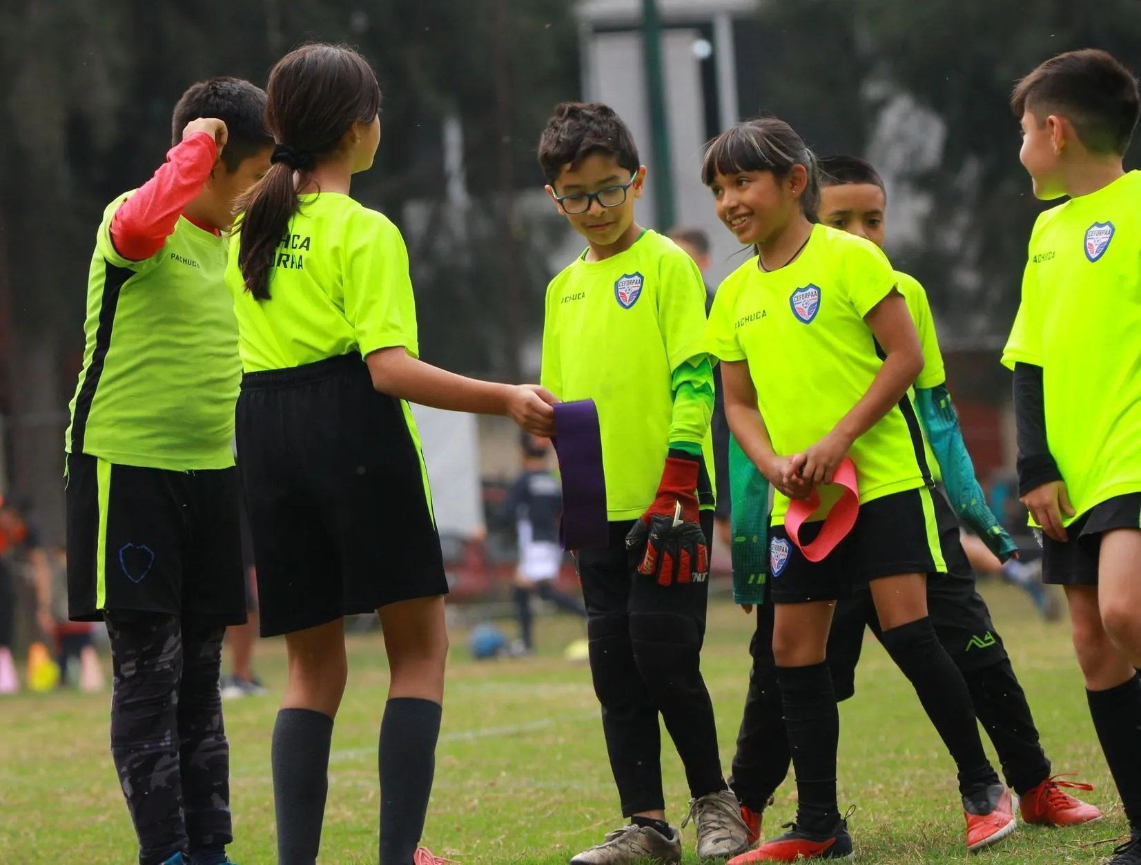 Entrenamientos