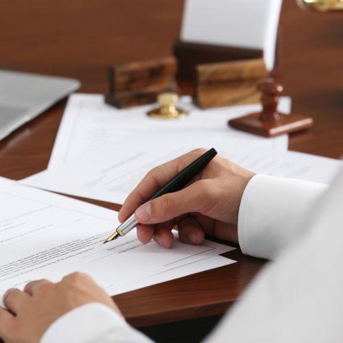 galeria minegociomex