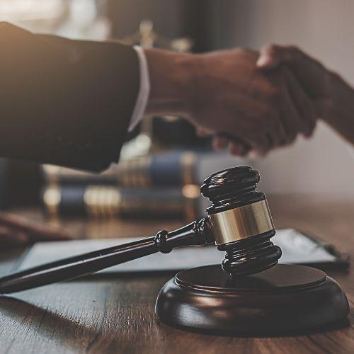 galeria minegociomex3