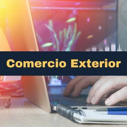 Servicios para Empresas y Profesionales