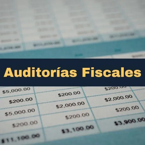 Servicios para Empresas y Profesionales