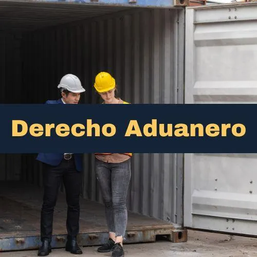 Servicios para Empresas y Profesionales
