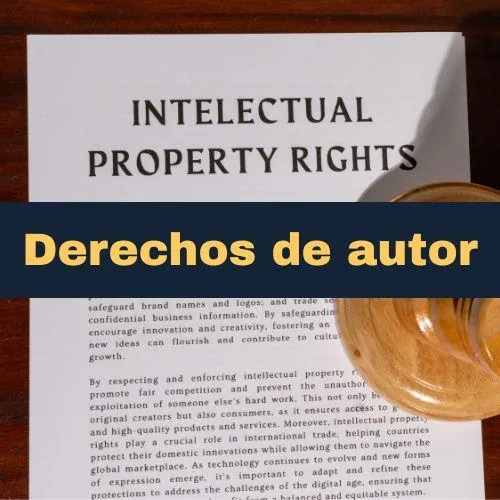 Servicios para Empresas y Profesionales