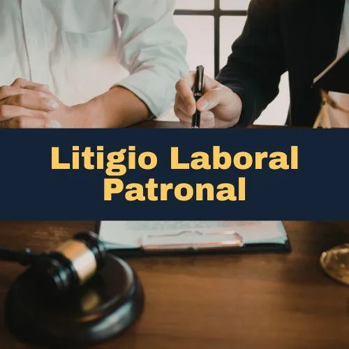 Servicios para Empresas y Profesionales