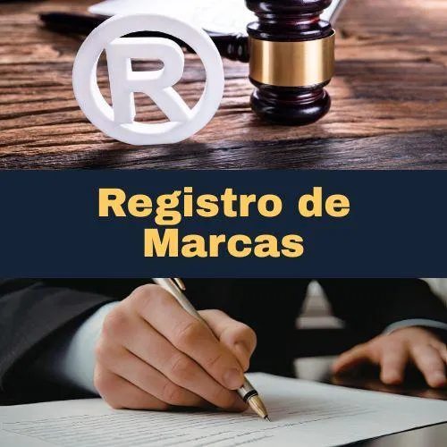 Servicios para Empresas y Profesionales