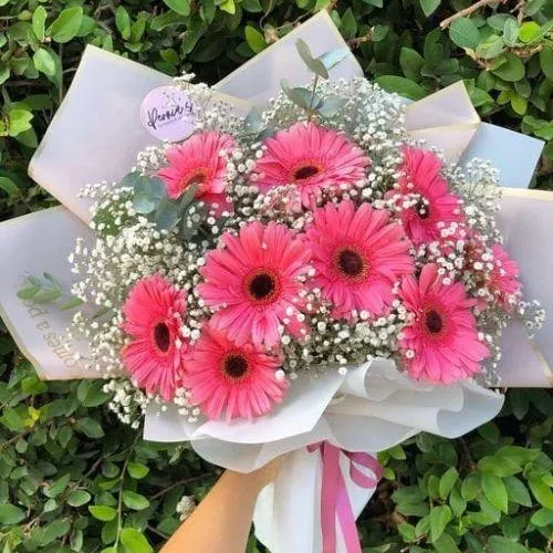 Regalos